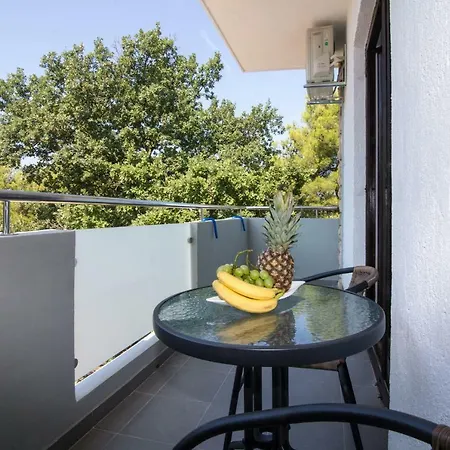 Guest house Prtajin *